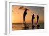 Common Bottlenose Dolphin (Tursiops truncatus) three adults, leaping, silhouetted at sunset, Roatan-Jurgen & Christine Sohns-Framed Photographic Print