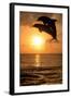 Common Bottlenose Dolphin (Tursiops truncatus) two adults, leaping, silhouetted at sunset, Roatan-Jurgen & Christine Sohns-Framed Photographic Print