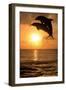 Common Bottlenose Dolphin (Tursiops truncatus) two adults, leaping, silhouetted at sunset, Roatan-Jurgen & Christine Sohns-Framed Photographic Print