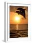 Common Bottlenose Dolphin (Tursiops truncatus) two adults, leaping, silhouetted at sunset, Roatan-Jurgen & Christine Sohns-Framed Photographic Print