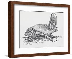 Common Brown Long-Eared Bat (Plecotus Auritus), Chiroptera-null-Framed Giclee Print