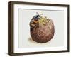 Common Burying Beetle (Necrophorus Vespillo) and Larvae in Ball of Flesh and Bone-null-Framed Giclee Print