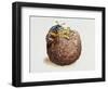 Common Burying Beetle (Necrophorus Vespillo) and Larvae in Ball of Flesh and Bone-null-Framed Giclee Print