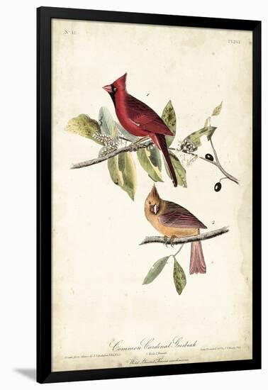 Common Cardinal Grosbeak-John James Audubon-Framed Art Print