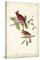 Common Cardinal Grosbeak-John James Audubon-Stretched Canvas