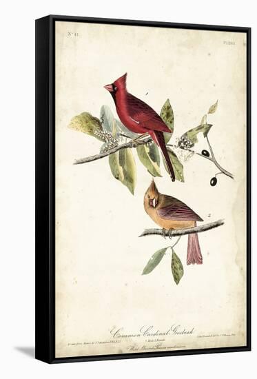 Common Cardinal Grosbeak-John James Audubon-Framed Stretched Canvas