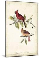 Common Cardinal Grosbeak-John James Audubon-Mounted Art Print