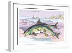 Common Carp and the Barbel-Robert Hamilton-Framed Art Print