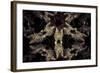 Common Cat Inside a Kaleidoscope, Mirrors-outsiderzone-Framed Photographic Print