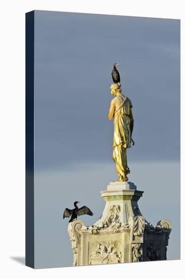 Common Comorants Perched on Statue Drying Out, Bushy Park, London, England, UK, November-Terry Whittaker-Stretched Canvas