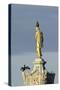 Common Comorants Perched on Statue Drying Out, Bushy Park, London, England, UK, November-Terry Whittaker-Stretched Canvas