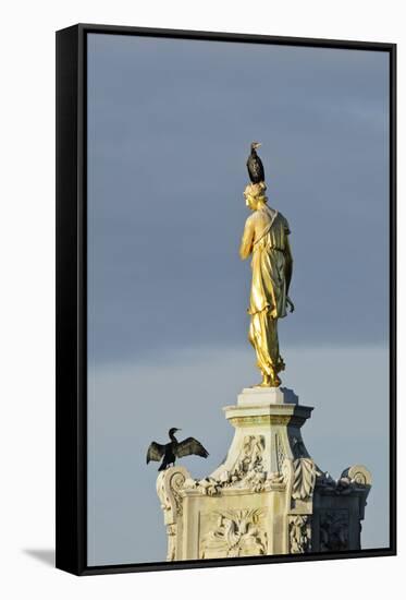 Common Comorants Perched on Statue Drying Out, Bushy Park, London, England, UK, November-Terry Whittaker-Framed Stretched Canvas