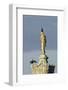 Common Comorants Perched on Statue Drying Out, Bushy Park, London, England, UK, November-Terry Whittaker-Framed Photographic Print