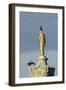 Common Comorants Perched on Statue Drying Out, Bushy Park, London, England, UK, November-Terry Whittaker-Framed Photographic Print