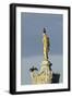 Common Comorants Perched on Statue Drying Out, Bushy Park, London, England, UK, November-Terry Whittaker-Framed Photographic Print
