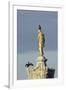 Common Comorants Perched on Statue Drying Out, Bushy Park, London, England, UK, November-Terry Whittaker-Framed Photographic Print