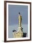 Common Comorants Perched on Statue Drying Out, Bushy Park, London, England, UK, November-Terry Whittaker-Framed Photographic Print