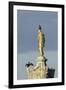 Common Comorants Perched on Statue Drying Out, Bushy Park, London, England, UK, November-Terry Whittaker-Framed Photographic Print