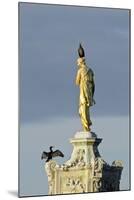 Common Comorants Perched on Statue Drying Out, Bushy Park, London, England, UK, November-Terry Whittaker-Mounted Photographic Print