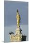 Common Comorants Perched on Statue Drying Out, Bushy Park, London, England, UK, November-Terry Whittaker-Mounted Photographic Print