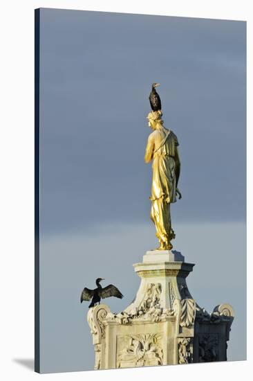 Common Comorants Perched on Statue Drying Out, Bushy Park, London, England, UK, November-Terry Whittaker-Stretched Canvas