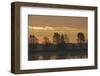 Common Cranes (Grus Grus) at Sunrise, Brandenburg, Germany, October 2008-Florian Möllers-Framed Photographic Print