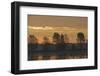 Common Cranes (Grus Grus) at Sunrise, Brandenburg, Germany, October 2008-Florian Möllers-Framed Photographic Print