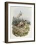 Common Cuckoo (1804-1881)-John Gould-Framed Giclee Print