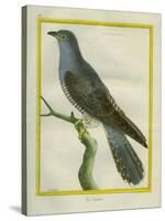 Common Cuckoo-Georges-Louis Buffon-Stretched Canvas