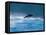 Common Dolphin Breaching in the Sea-null-Framed Stretched Canvas