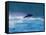 Common Dolphin Breaching in the Sea-null-Framed Stretched Canvas