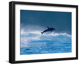 Common Dolphin Breaching in the Sea-null-Framed Photographic Print