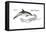 Common Dolphin (Delphinus Delphis), Mammals-Encyclopaedia Britannica-Framed Stretched Canvas