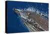 Common Dolphin Swimming in the Strait of Gibraltar-null-Stretched Canvas