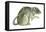 Common Domestic Rat (Rattus Norvegicus), Mammals-Encyclopaedia Britannica-Framed Stretched Canvas