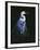 Common Egret in Breeding Plumage-Michael Budden-Framed Giclee Print