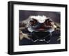 Common European Toad Female Portrait (Bufo Bufo) in Water, England-Chris Packham-Framed Premium Photographic Print