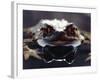 Common European Toad Female Portrait (Bufo Bufo) in Water, England-Chris Packham-Framed Photographic Print