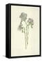 Common Flax-Frederick Edward Hulme-Framed Stretched Canvas