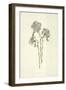 Common Flax-Frederick Edward Hulme-Framed Giclee Print