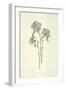 Common Flax-Frederick Edward Hulme-Framed Giclee Print