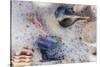 Common Florida Sea Shells under Surge of Seawater and Sea Foam at Beach, Tarpon Springs-Lynn M^ Stone-Stretched Canvas