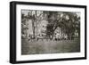 Common Football-Lewis Wickes Hine-Framed Photo