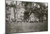 Common Football-Lewis Wickes Hine-Mounted Photo