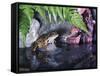 Common Frog Sits on Rock by Pond-null-Framed Stretched Canvas