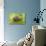 Common Garden Snail on Celery Stalk-null-Stretched Canvas displayed on a wall
