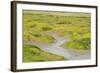 Common Glasswort (Salicornia Europaea) Growing on Saltmarsh, Abbotts Hall Farm Nr, England, UK-Terry Whittaker-Framed Photographic Print