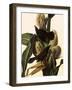 Common Grackle-John James Audubon-Framed Giclee Print