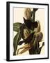 Common Grackle-John James Audubon-Framed Giclee Print