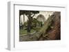 Common Green Iguana (Iguana Iguana) Living Wild in Parque Seminario, Guayaquil, Ecuador. 2005-Pete Oxford-Framed Photographic Print